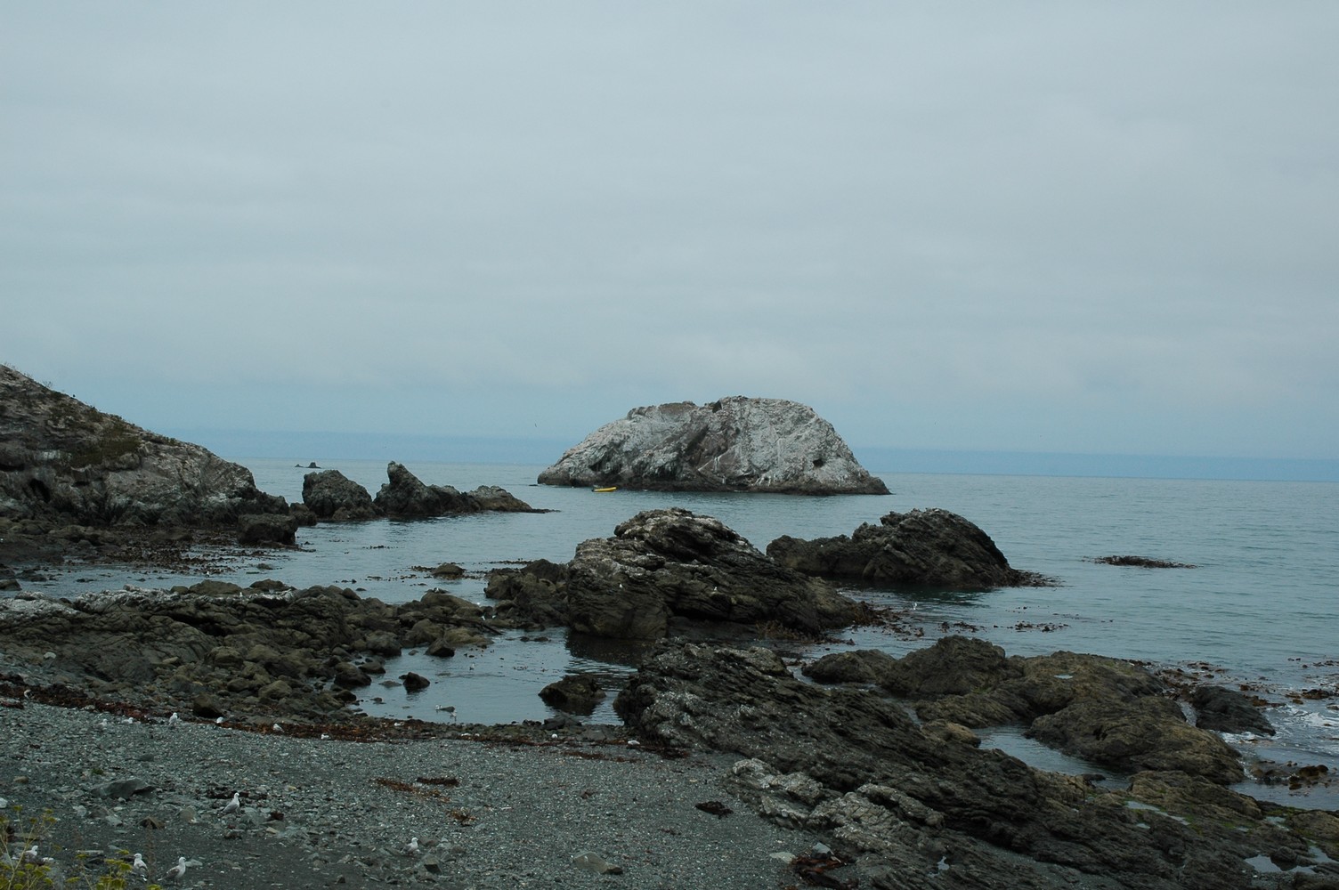 172   29 01   Kaikoura